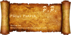 Pályi Patrik névjegykártya